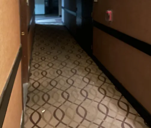 Carpet of the hotel